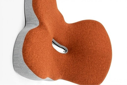 AllDay Sit™ Orthopedic Cushion